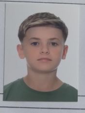 PEDRO HENRIQUE CASARINI LEMES