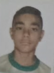 GUSTTAVO LEMM GARCIA																						