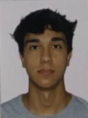 HENRIQUE GARCIA TESTONI