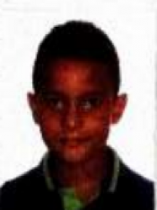 HENRIQUE JAMES JARDIM CAMPOS