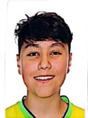 GUSTAVO SANTORO FREIRE