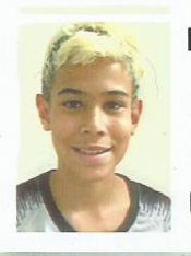 PEDRO LUKAS BARBOSA FORTUNATO