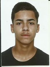 LUAN DA SILVA DELFINO 
