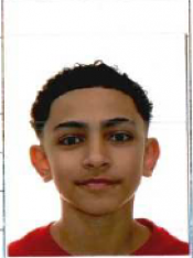 ARTHUR FELIX DE JESUS