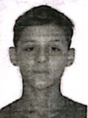 RICARDO PACHECO VIEL