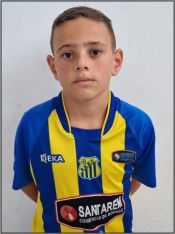 MIGUEL STENICO VIOLIM