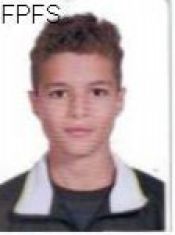 PEDRO HENRIQUE AMARAL ARAUJO