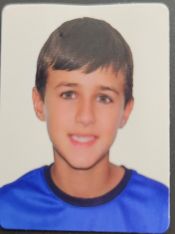 FELIPE SCHREINER DE CASTRO
