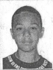 DAVI BARALDI PINN