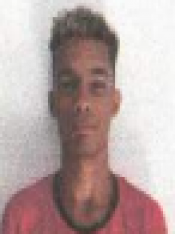 VINICIUS DOS ANJOS BARBOZA