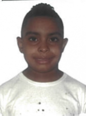 MIGUEL JOSE PEREIRA ALVES