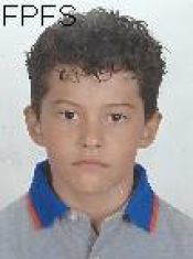PEDRO LIBARDI SILVA
