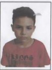 RAPHAEL VILANOVA DE ANDRADE