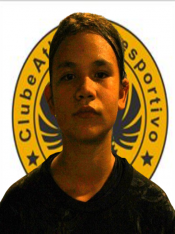 ANA JULIA DA SILVA CELESTINO MACHADO