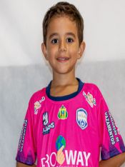 HENRY GABRIEL MOSCHIN DA SILVA