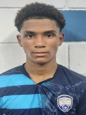 VINICIUS FERREIRA DA SILVA