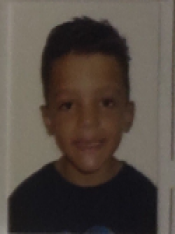 GUILHERME BAJESTER GUIMARÃES 