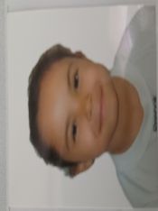 EDUARDA SILVA DE ARAÚJO APARECIDO 