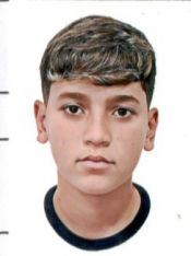 PEDRO NÍCOLAS GUIMARAES CAVALCANTE