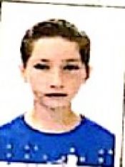 PAULO VÍTOR MANFRIN FERREIRA DOS SANTOS