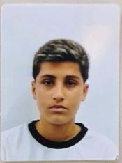 VíTOR ARAúJO DOS SANTOS