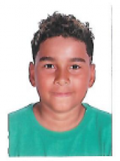 THEO TEIXEIRA MENDES