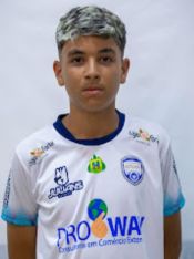 GUILHERME VIANA MENDES
