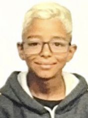 ARTHUR GARCIA TEIXEIRA ALVES