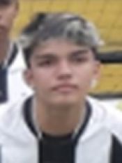 HENRIQUE MINATO MARTINS