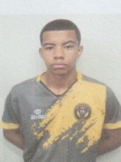 VINíCIUS DAVISON ANDRADE RAMOS 