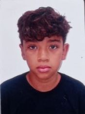 ARTHUR PIMENTA FERREIRA