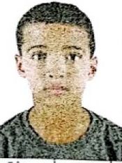 JOÃO PEDRO GUIMARÃES LOPES 