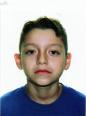 HENRICO VIEIRA HENRIQUES