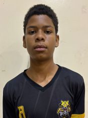 PIETRO HENRIQUE REIS VICTORIO
