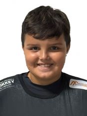 ELVIS HENRIQUE BRISOLA BUSSOLARO