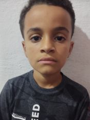PEDRO LUCCA AMARAL CARDOSO