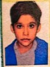 GUSTAVO CARVALHO BUENO