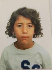JOAQUIM MARTINS RODRIGUES