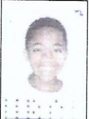 GUSTAVO DOS SANTOS ARAUJO