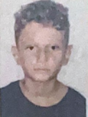 DAVI CONTI ROMBALDI