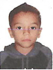 MIGUEL VIEIRA SCAVASSI SOARES
