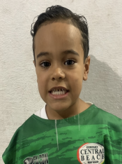 BRYAN MATHEUS DE CASTRO CARDOSO