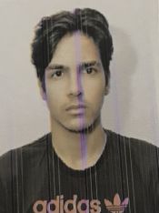 JOãO VíTOR GOMES JORVINO